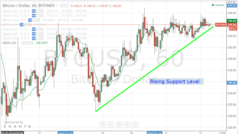 Bitcoin Price Technical Analysis for 22/2/2015 - Slowing Down