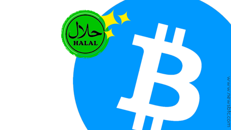 Bitcoin as Halal Microfinancing for Muslims