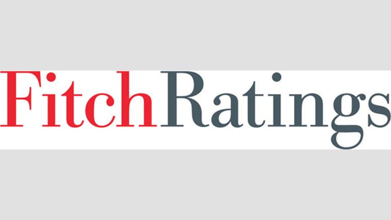 Fitch Ratings Analyzes Bitcoin in New Commentary