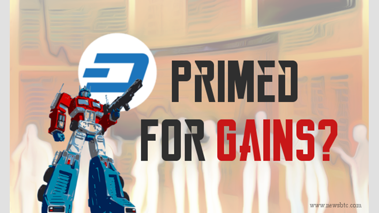 Dash Price Weekly Analysis - Primed For Gains?