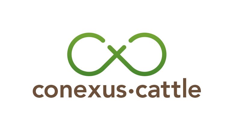 Conexus Acquires a Majority Interest in Bitcoin Direct LLC