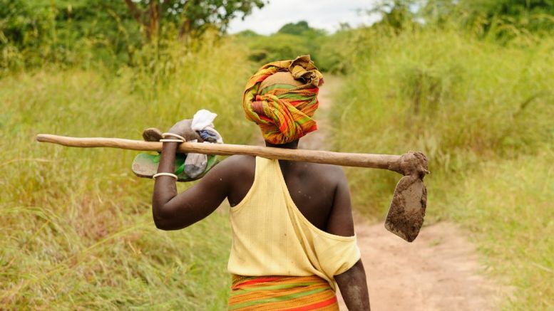 Bitcoin Accelerator Could Provide Lifeline to Zimbabwean Women Farmers