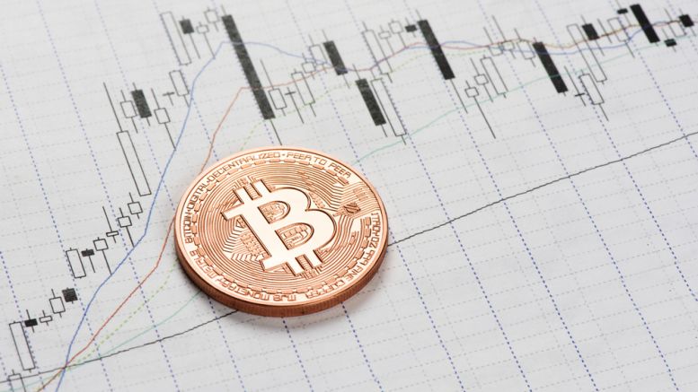 Bitcoin Manages to Evade the Crypto Market Crash