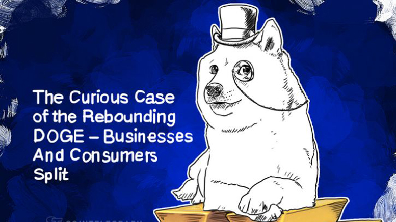 The Curious Case of the Rebounding DOGE – Businesses And Consumers Split