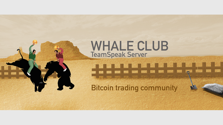 Whale Club: The Trading Room That Loves Bitcoin Price Declines