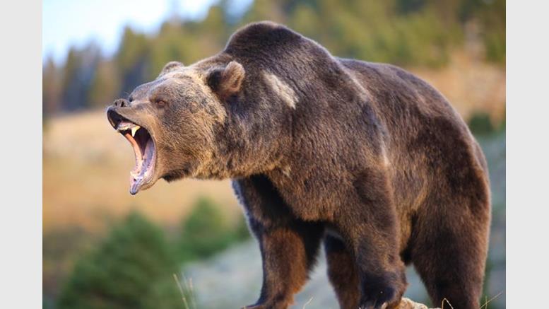 Bitcoin Price Bears Battling For A New Low