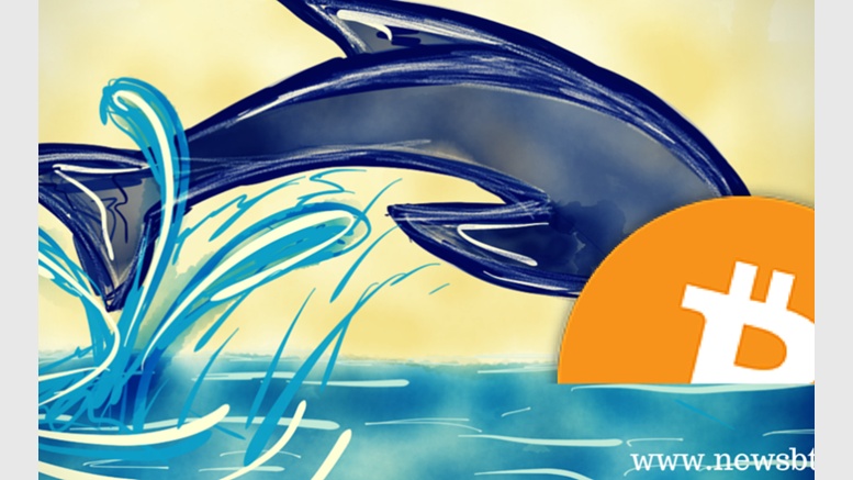 Bitcoin Price Technical Analysis for 15/2/2015 - Out of the Blue!