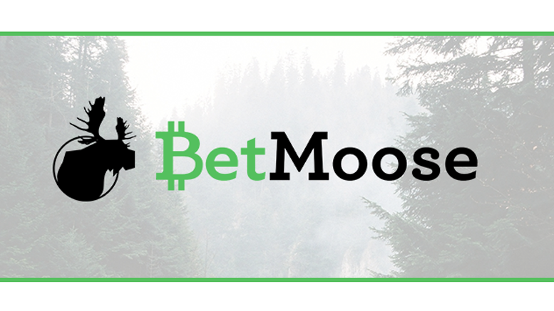 Exclusive Launch Interview with Betmoose: User-Driven Betting Exchange