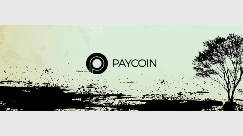 The Death of Paycoin: Employee Video Reveals Internal Chaos