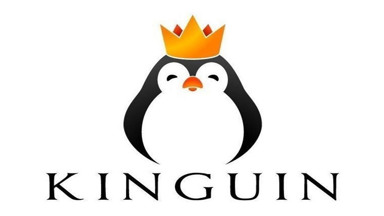 Popular Gaming Marketplace Kinguin Now Accepts Bitcoin