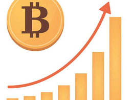 Bitcoin Rebounds