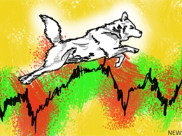 Dogecoin Price Technical Analysis for 20/11/2015 - Ranging Moves