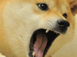 Dogecoin Users Outraged Over Trademark