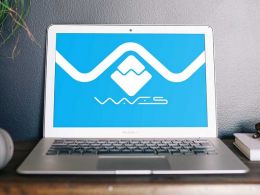 WAVES ICO Could Have Been Easily Confused with DDoS Attack