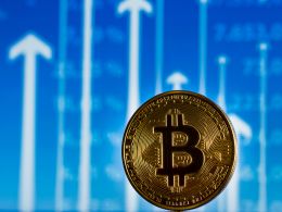 Observation: As Rigid Rules To Prop National Currencies Fail, Bitcoin Gains Favor