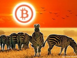 Tens of Thousands of Merchants Accept Bitcoin in South Africa as Government is Friendly
