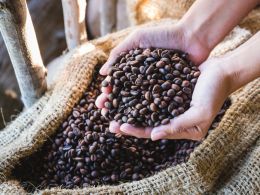 Blockchain Tech Helps Coffee Farmers Make Fair Gains