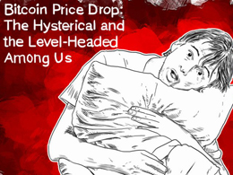 Bitcoin Price Drop: The Hysterical and the Level-Headed Among Us