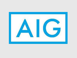 AIG offers insurance against cyber loss and injury