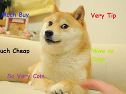 Five Reasons Why the Dogecoin Price Should Rebound Soon