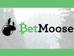 Exclusive Launch Interview with Betmoose: User-Driven Betting Exchange