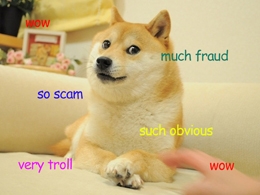 Dogecoin Community hit by Moolah Scam