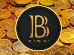 Interview with Blackcoin: Succeeding in the Alt-Market