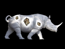 Rhinoceros Laboratories - Fake Products, Fake Company?