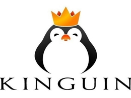Popular Gaming Marketplace Kinguin Now Accepts Bitcoin