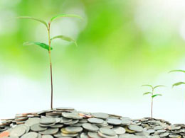 Canadian startup Coin Forest is Groupon for bitcoin