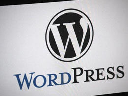 Bitcoin Payment Option Disappears from WordPress Platform