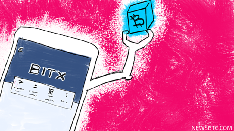 BitX: Capitalizing on Banks' Misguided Approach Toward Blockchain Technology
