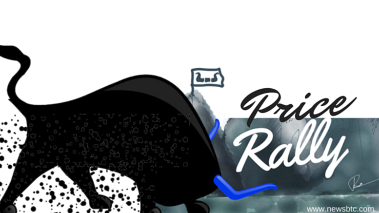 What Spurred the Recent Bitcoin Price Rally?