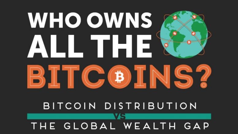 Who Owns All the Bitcoins - An Infographic of Wealth Distribution