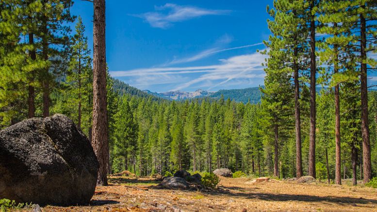 Martis Camp Announces Record Bitcoin Real Estate Transaction Valued at $1.6 Million