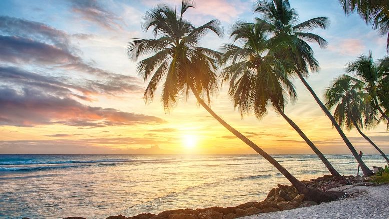 Overstock Invests $4 Million in Barbados Bitcoin Startup