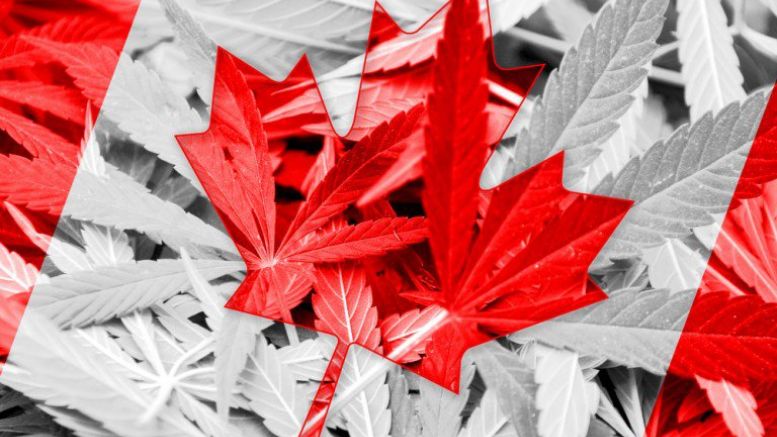 Does Canada's Weed Policy Show Way Forward On Blockchain Regulations?