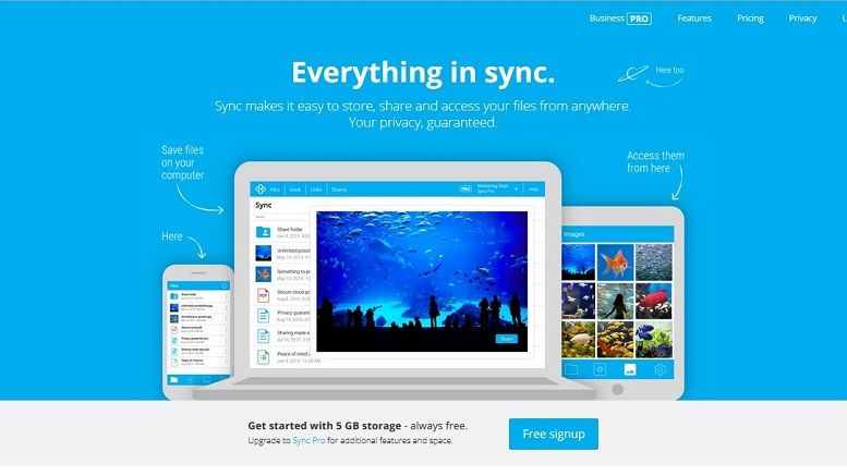 Sync.com Now Accepts Bitcoin For Encrypted Cloud Storage and File Sharing