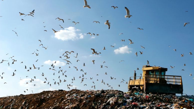 Landfills Are Filling Up With Bitcoin