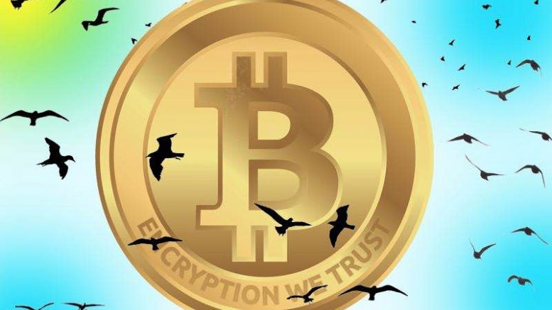 Bitcoin.com Presents ‘Birds’: Promote Your Tweets With Bitcoin