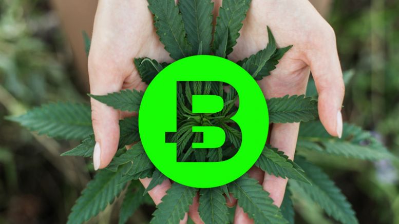 Denver Hosts 2nd Annual Crypto Cannabis Conference