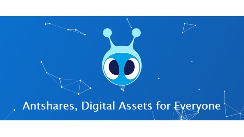Antshares Blockchain Based Ledger Protocol for Financial Applications Launches Successful ICO