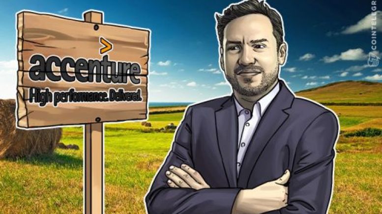 Coinkite CEO Heavily Criticizes Editable Blockchain by Accenture