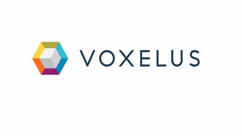 Voxel Public Crowdsale Goes Live