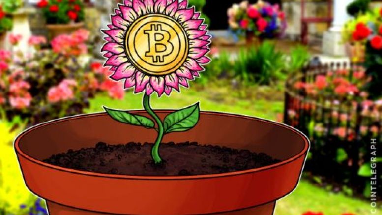 Llew Claasen: Why the Rest of 2016 Will Bring Even More Growth to Bitcoin, Blockchain Focus Being Blessing