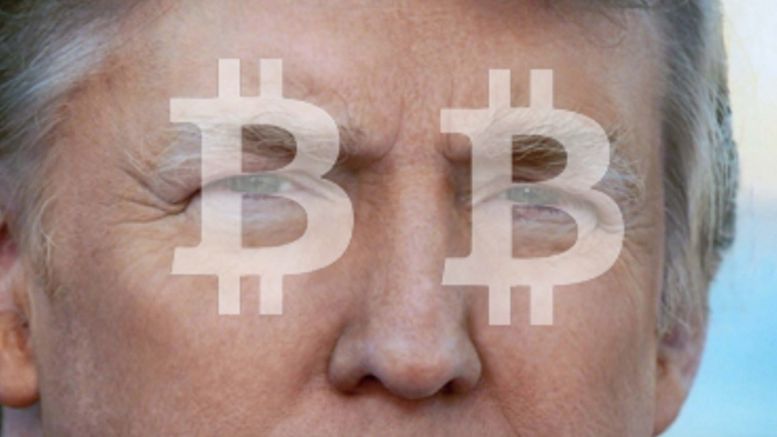 Despite Trump Bump, Bitcoin Still Strives for 'Safe Haven' Status