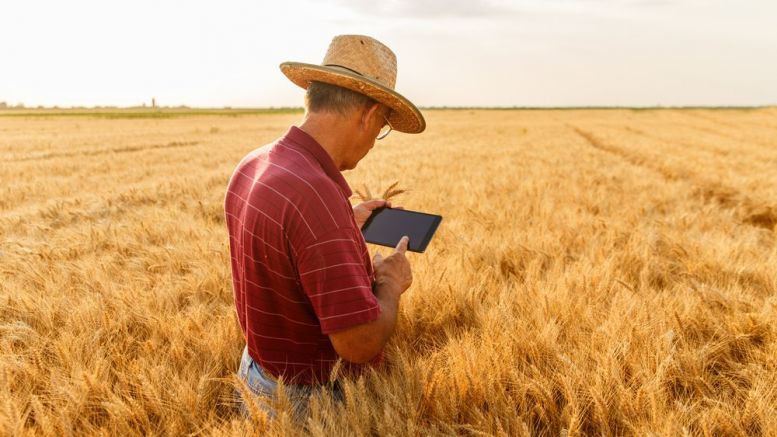 Australian Wheat Farmers Trial Blockchain to Sell Grain