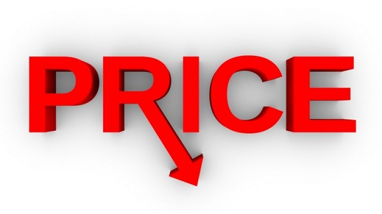What Caused Bitcoin Price to Take the Plunge from $1100s?