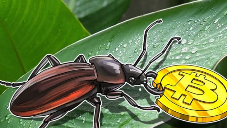 Community Reacts to Bitcoin Unlimited Bug, Calls For SegWit Activation