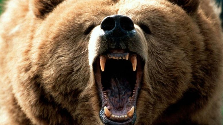 Markets Update: Bitcoin’s Battle Against the Bear Market